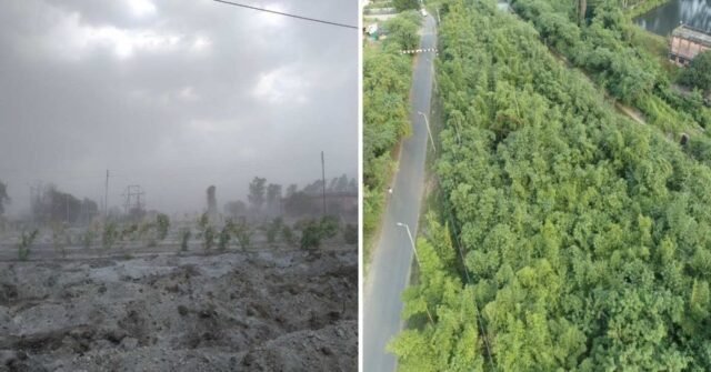 A-before-and-after-of-the-Suradevi-Road-site-Koradi-credit-Dr.-Lal-Singh-supplied
