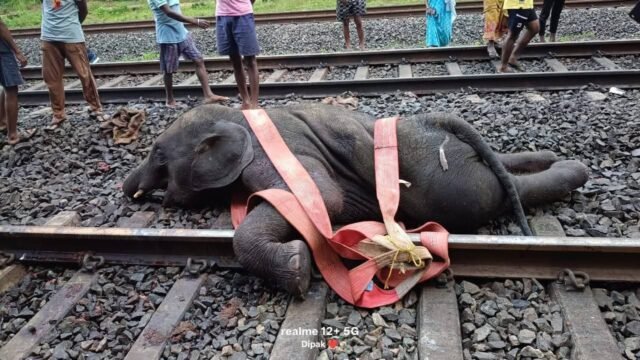 WhatsApp Image 2025-07-18 at 21.58.18