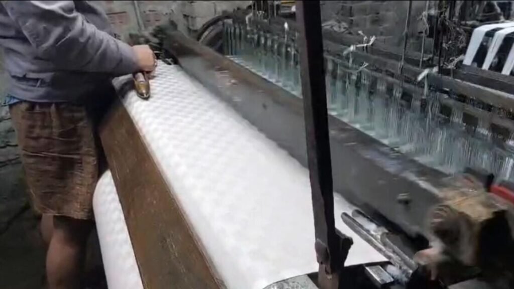 Bhagalpur Silk Industry Crisis News