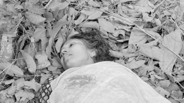 Koderma Elephant Attack