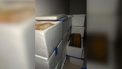 gcrjfb5c_gujarat-blood-plasma-racket_625x300_24_June_26